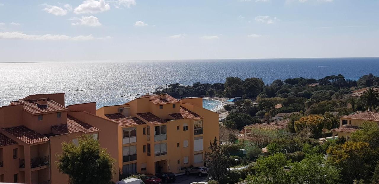 אז'אקסיו T1 Vue Mer Bord De Mer Ajaccio מראה חיצוני תמונה