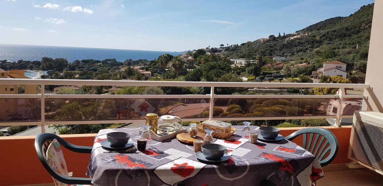 אז'אקסיו T1 Vue Mer Bord De Mer Ajaccio מראה חיצוני תמונה
